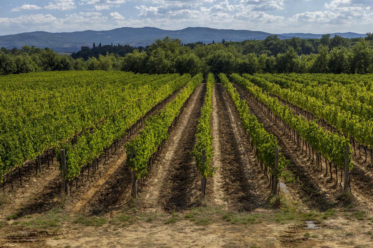 Il Borro Relais & Chateaux San Giustino Valdarno Exterior foto